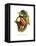 Toco Toucan-John Gould-Framed Stretched Canvas