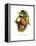 Toco Toucan-John Gould-Framed Stretched Canvas