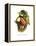 Toco Toucan-John Gould-Framed Stretched Canvas