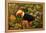 Toco Toucan-Joe McDonald-Framed Premier Image Canvas