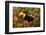 Toco Toucan-Joe McDonald-Framed Photographic Print