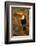 Toco Toucan-Joe McDonald-Framed Photographic Print