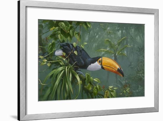 Toco Toucan-Michael Jackson-Framed Giclee Print