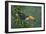 Toco Toucan-Michael Jackson-Framed Giclee Print