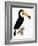 Toco-Jacques Barraband-Framed Giclee Print