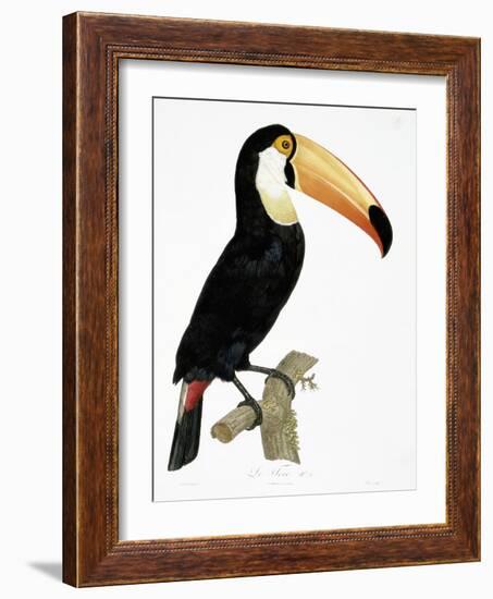 Toco-Jacques Barraband-Framed Giclee Print