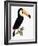 Toco-Jacques Barraband-Framed Giclee Print