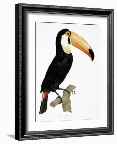 Toco-Jacques Barraband-Framed Giclee Print