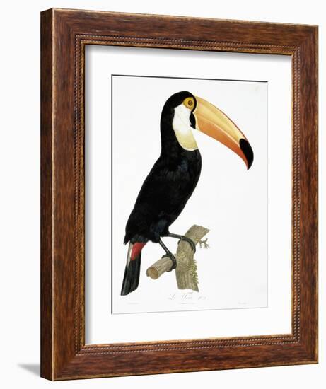 Toco-Jacques Barraband-Framed Giclee Print