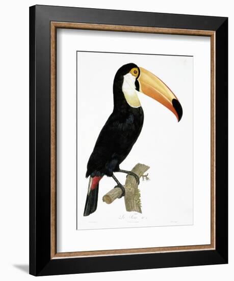 Toco-Jacques Barraband-Framed Giclee Print