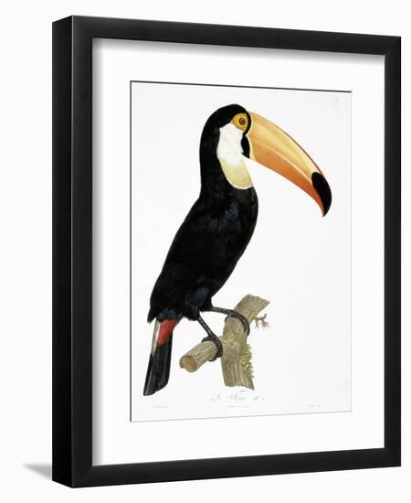 Toco-Jacques Barraband-Framed Giclee Print