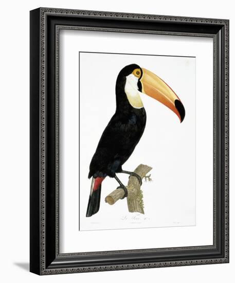 Toco-Jacques Barraband-Framed Giclee Print