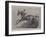 Tod Sloan, the Famous American Jockey-John Charlton-Framed Giclee Print