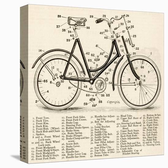 Stretched Canvas Print, , large