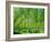 Today-Craig Roberts-Framed Photographic Print