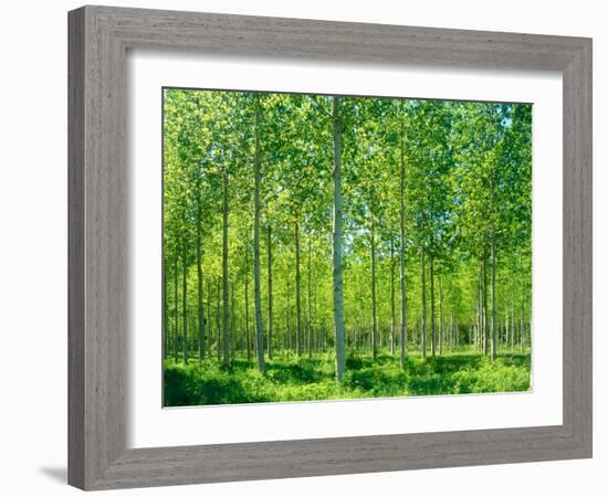 Today-Craig Roberts-Framed Photographic Print