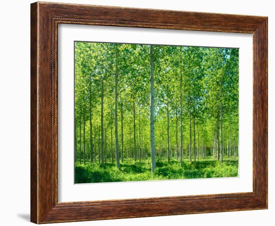 Today-Craig Roberts-Framed Photographic Print