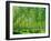 Today-Craig Roberts-Framed Photographic Print