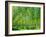 Today-Craig Roberts-Framed Photographic Print