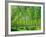 Today-Craig Roberts-Framed Photographic Print