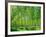 Today-Craig Roberts-Framed Photographic Print