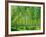 Today-Craig Roberts-Framed Photographic Print