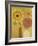 Todays Bouquet 1-Richard Faust-Framed Art Print