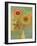 Todays Bouquet 2-Richard Faust-Framed Art Print