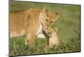 Premium Photographic Print