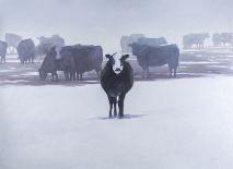 Cows in the Snow-Todd Telander-Art Print