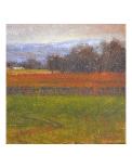 Whidbey Island Morning-Todd Telander-Stretched Canvas