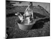 Photographic Print