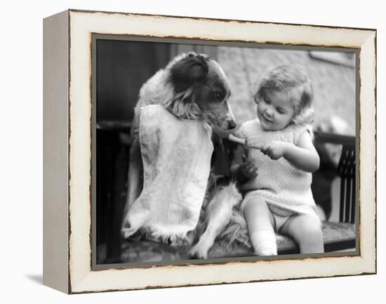 Toddler Trying to Brush Dog's Teeth-null-Framed Premier Image Canvas