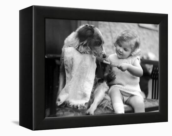Toddler Trying to Brush Dog's Teeth-null-Framed Premier Image Canvas