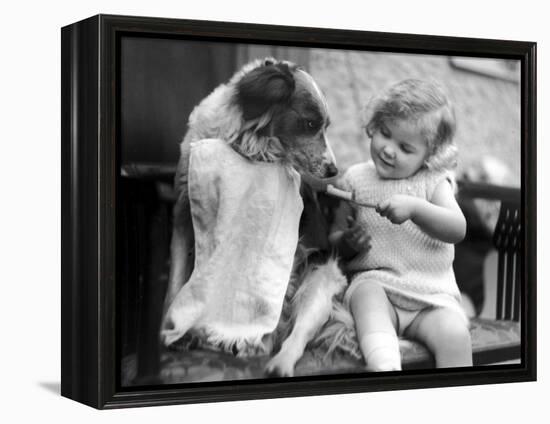 Toddler Trying to Brush Dog's Teeth-null-Framed Premier Image Canvas