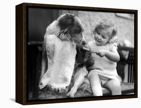 Toddler Trying to Brush Dog's Teeth-null-Framed Premier Image Canvas