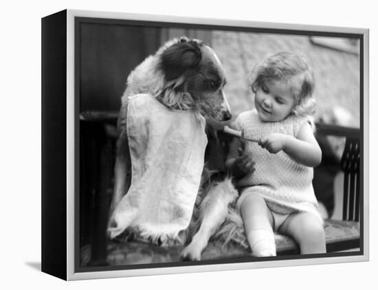 Toddler Trying to Brush Dog's Teeth-null-Framed Premier Image Canvas