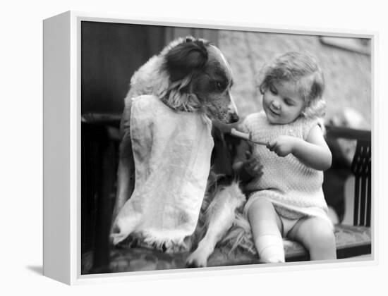 Toddler Trying to Brush Dog's Teeth-null-Framed Premier Image Canvas