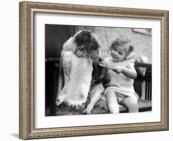 Toddler Trying to Brush Dog's Teeth-null-Framed Photographic Print