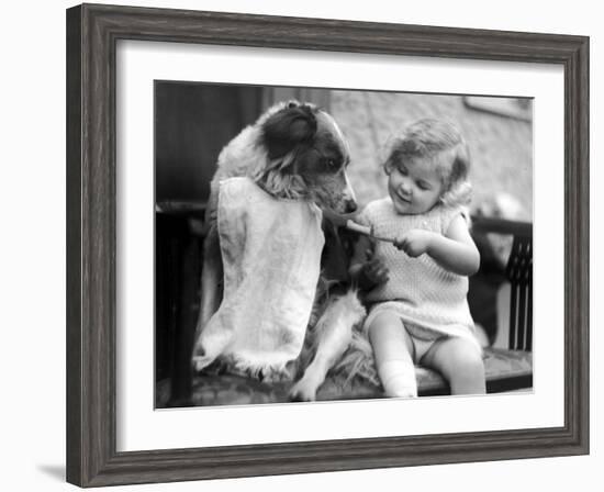Toddler Trying to Brush Dog's Teeth-null-Framed Photographic Print