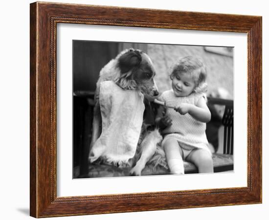 Toddler Trying to Brush Dog's Teeth-null-Framed Photographic Print