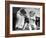 Toddler Trying to Brush Dog's Teeth-null-Framed Photographic Print