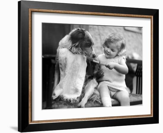 Toddler Trying to Brush Dog's Teeth--Framed Photographic Print