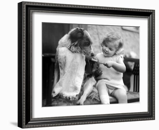 Toddler Trying to Brush Dog's Teeth-null-Framed Photographic Print