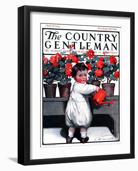 "Toddler Watering Geraniums," Country Gentleman Cover, June 28, 1924-Katherine R. Wireman-Framed Giclee Print