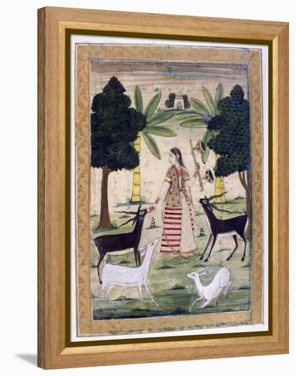 Todi Ragini, Ragamala Album, School of Rajasthan, 19th Century-null-Framed Premier Image Canvas