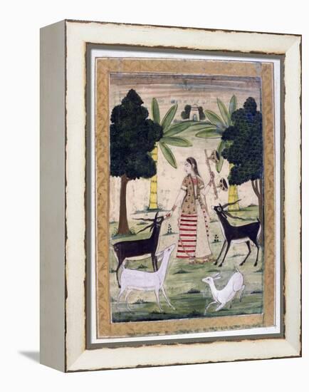 Todi Ragini, Ragamala Album, School of Rajasthan, 19th Century-null-Framed Premier Image Canvas