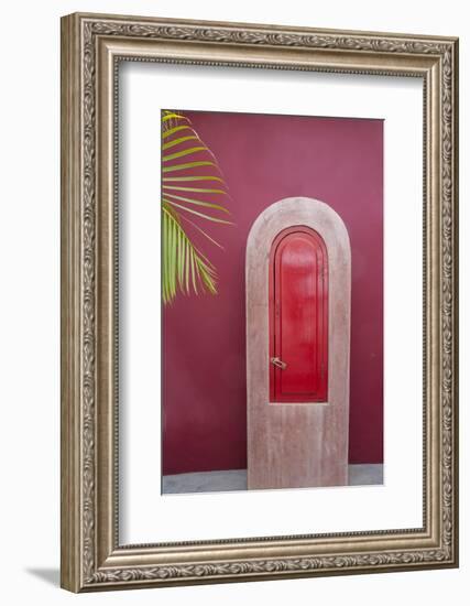 Todos Santos, Mexico. Red door in a red wall.-Julien McRoberts-Framed Photographic Print