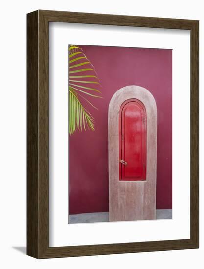 Todos Santos, Mexico. Red door in a red wall.-Julien McRoberts-Framed Photographic Print