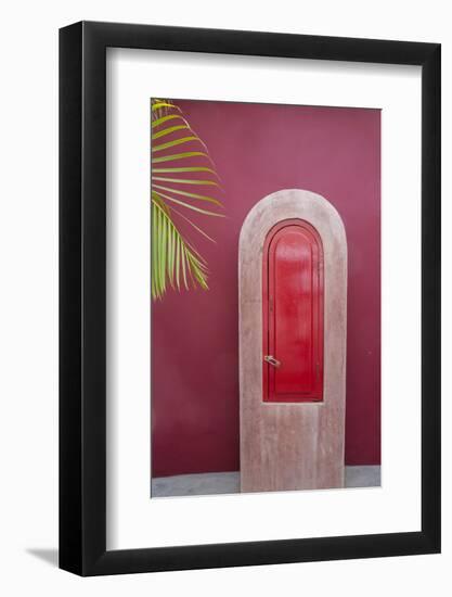 Todos Santos, Mexico. Red door in a red wall.-Julien McRoberts-Framed Photographic Print